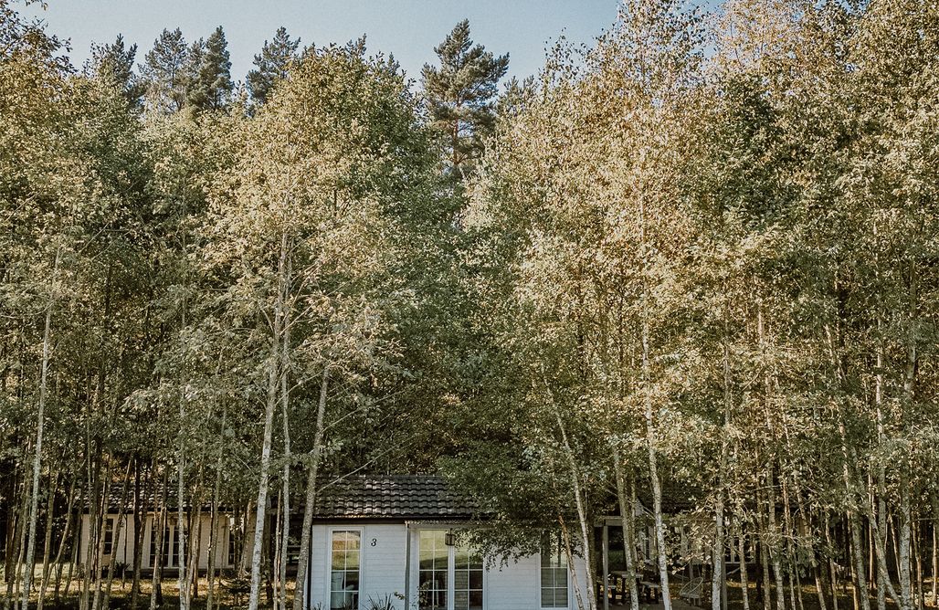 AlohaCamp Domek premium 3B 1