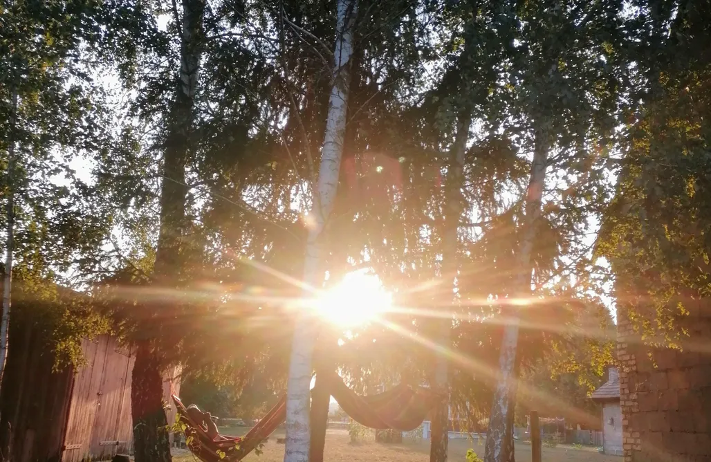 AlohaCamp Siedlisko Orla  1