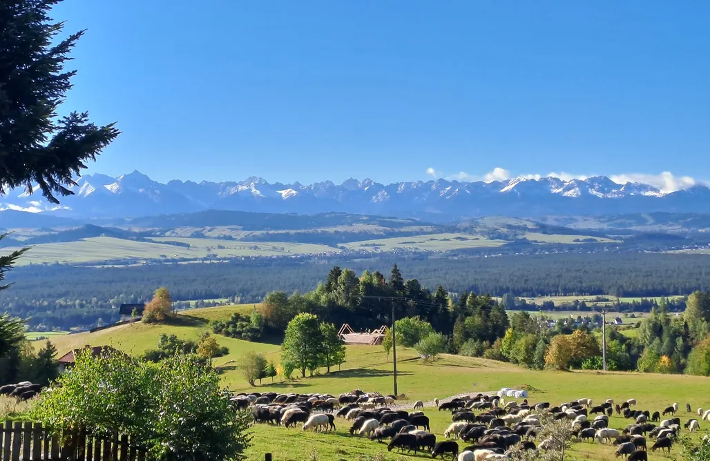 ubytování AlohaCamp Willa Hubertówka  5