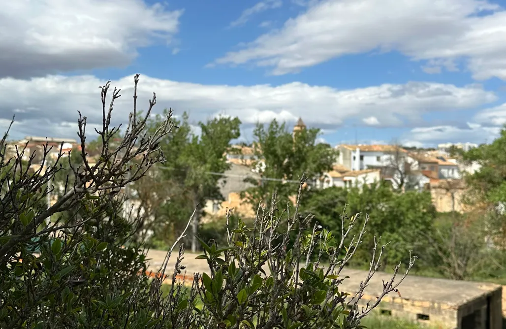 Last Minute España Cabaña adosada 3