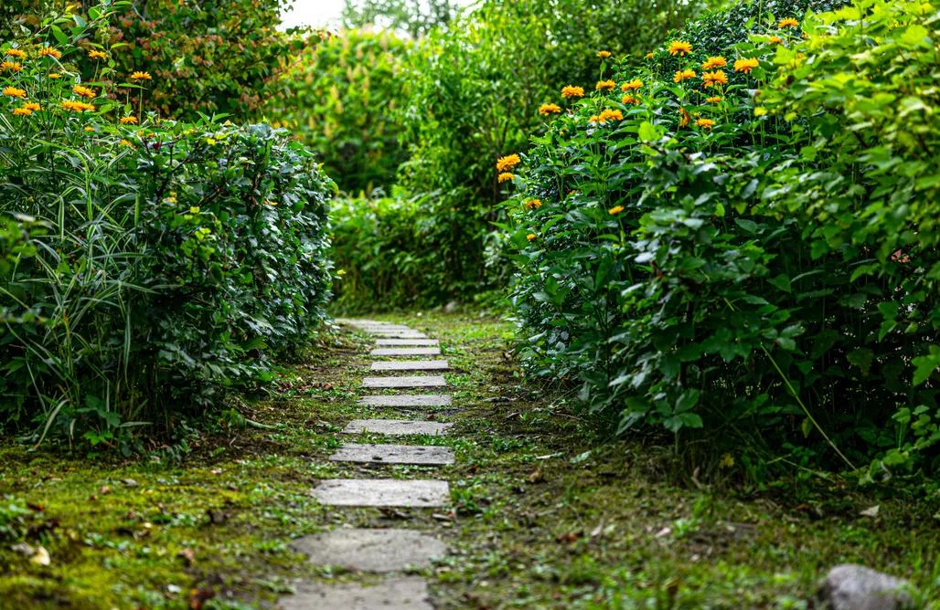 noclegi AlohaCamp Leśne Serce 5