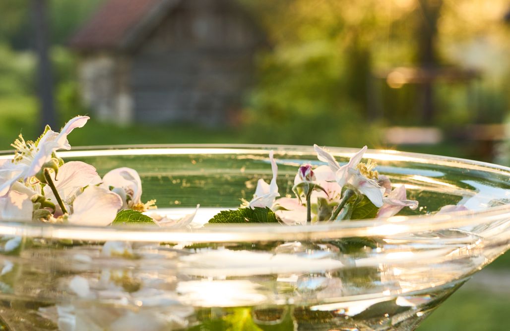 noclegi AlohaCamp  Bezat, dom dla grup  1