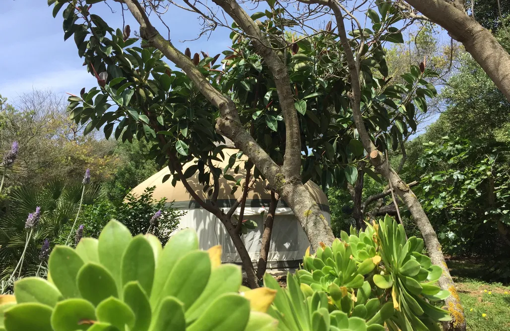 AlohaCamp Las Yurtas 1