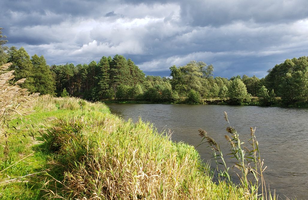 Pole Namiotowe Mikołajki Miejsce kamperowe i namiotowe - Cud nad Pisą 2