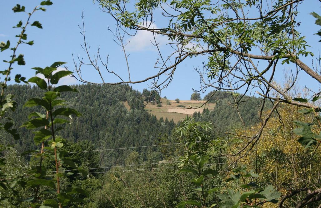 Unterkunft AlohaCamp Dom pod Jesionami 3