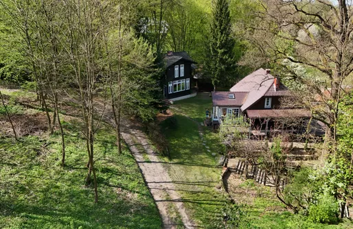 Zdjęcie obiektu Niebieski Koń