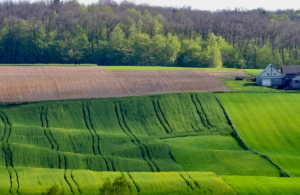 noclegi AlohaCamp Zamojskie Bieszczady 1