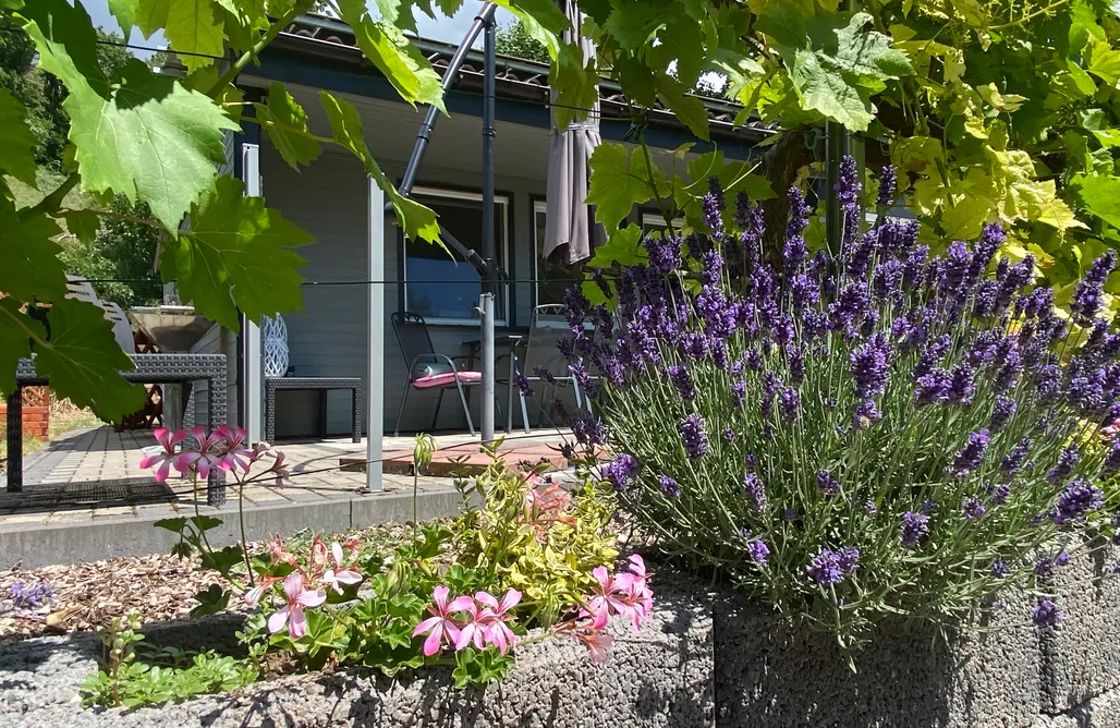 Ferienhaus Am Lutherweg AlohaCamp