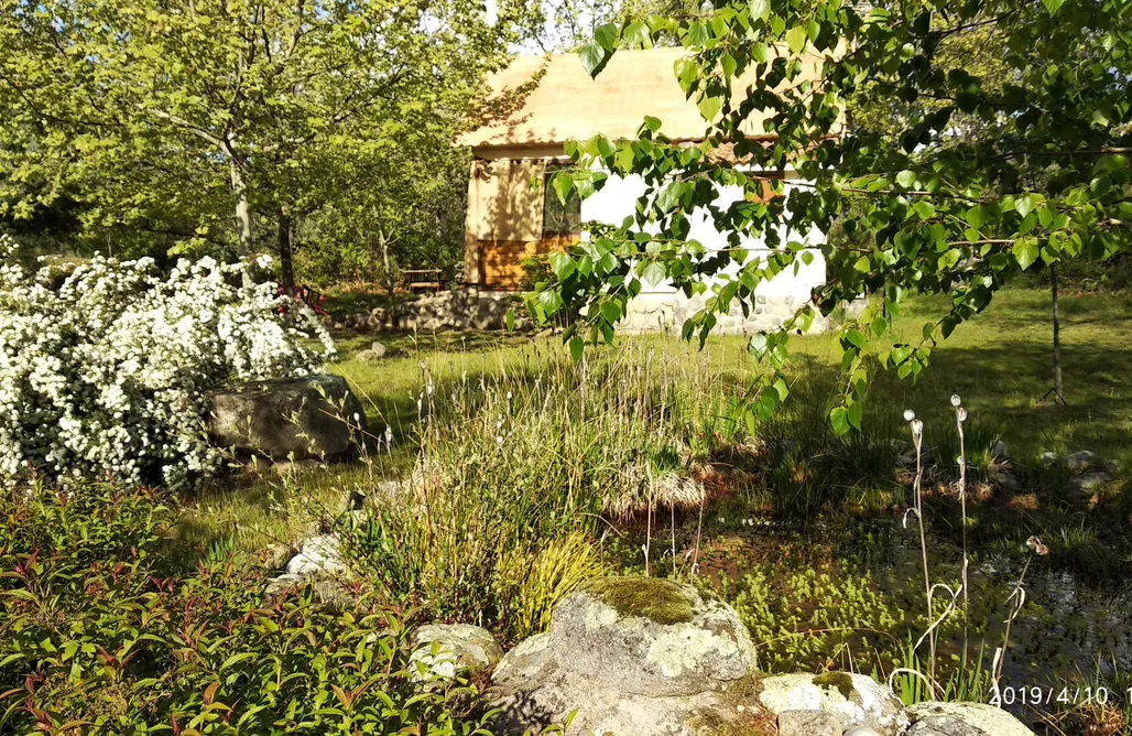 AlohaCamp Casa de las Ranas 1