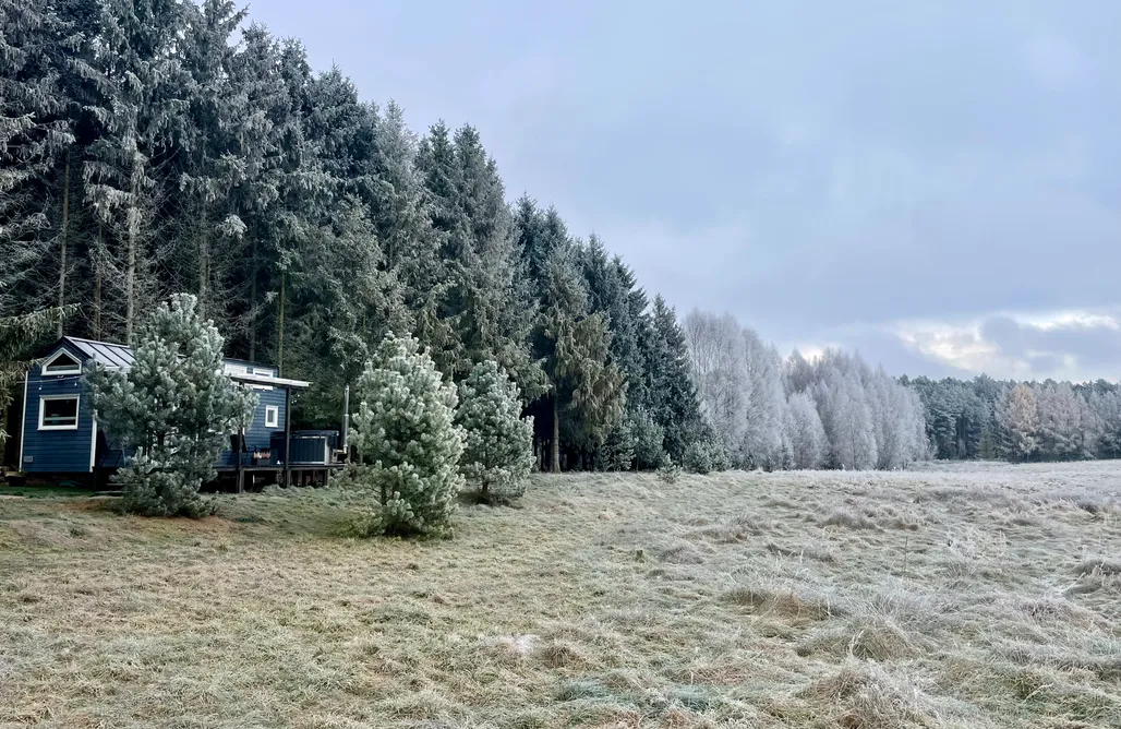 AlohaCamp Leśne Siedlisko Wygonin Ginger  1