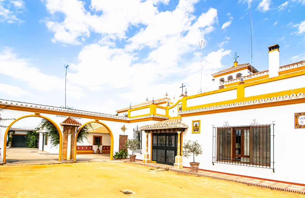 AlohaCamp El Corchuelo 1