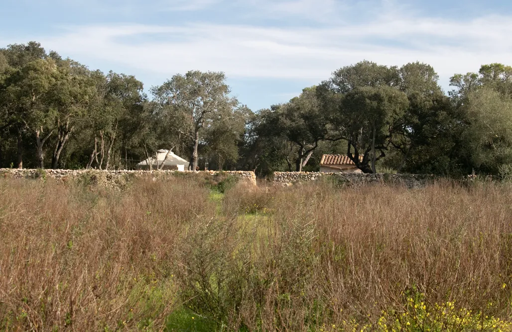 Unterkunft AlohaCamp Shepard's Yurt 1