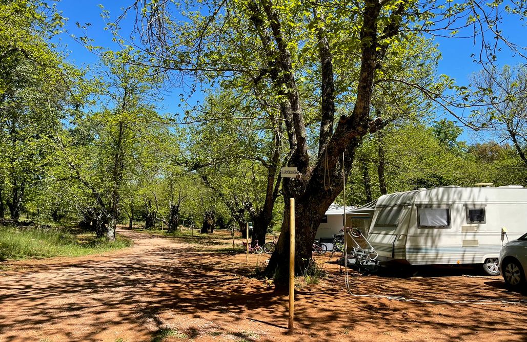 AlohaCamp accommodation Sitio para tiendas y autocaravanas - Camping el Madroñal 2