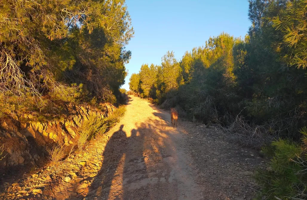 AlohaCamp accommodation Sitio para caravanas - Ganja la Carmela 1