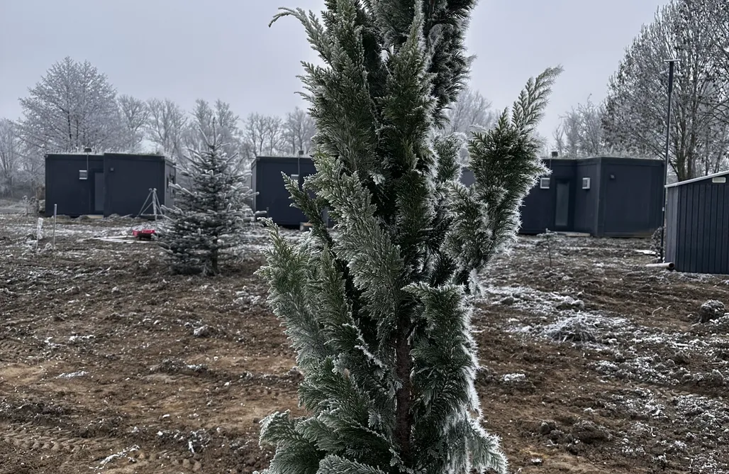 Bory Tucholskie Nocleg Vistalake  1