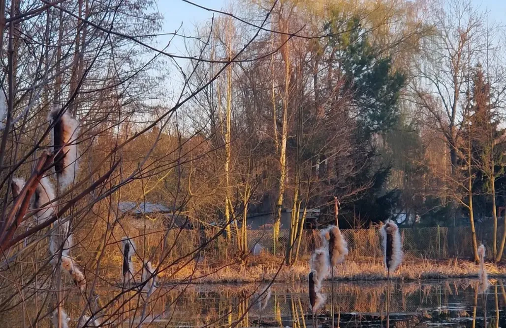 AlohaCamp accommodation Stuga pod Lasem 4