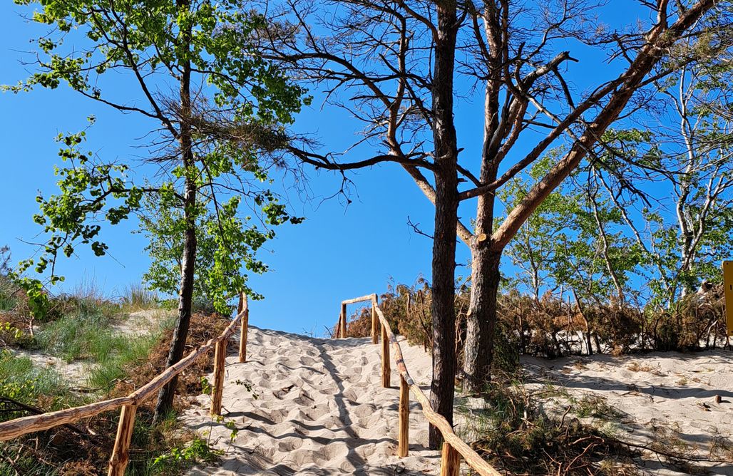 noclegi AlohaCamp Brzozowy Zakątek 1