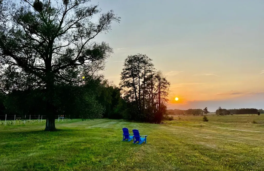 AlohaCamp Pokój Dwuosobowy z tarasem 1