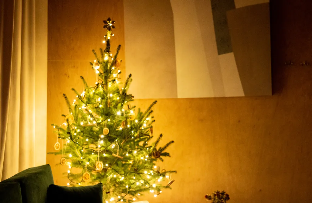 AlohaCamp accommodation Carthome - wyjątkowy dom na kołach w otoczeniu lasu 5