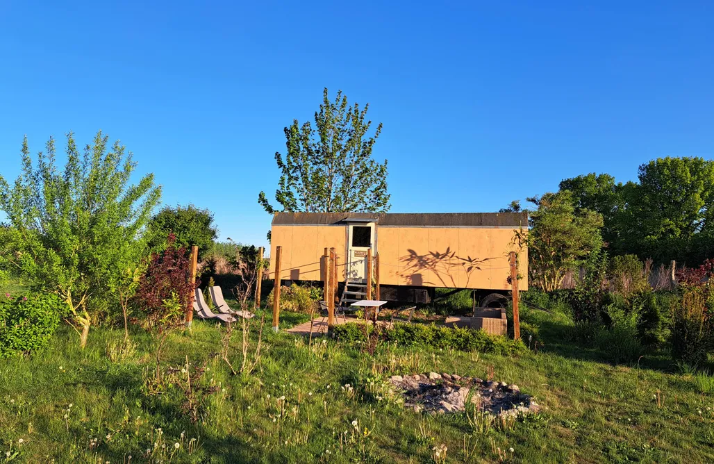 Tiny House Steinhuder Meer Tinyhouse Goldie 3