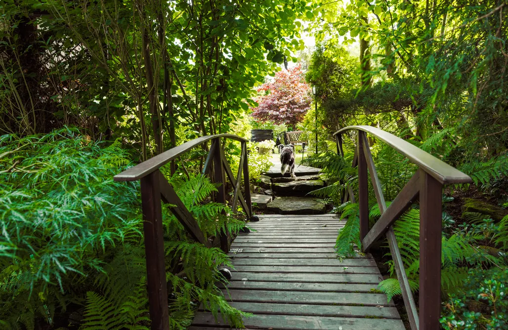 Hotel Wisła Księżycowy Domek nad Potokiem 1