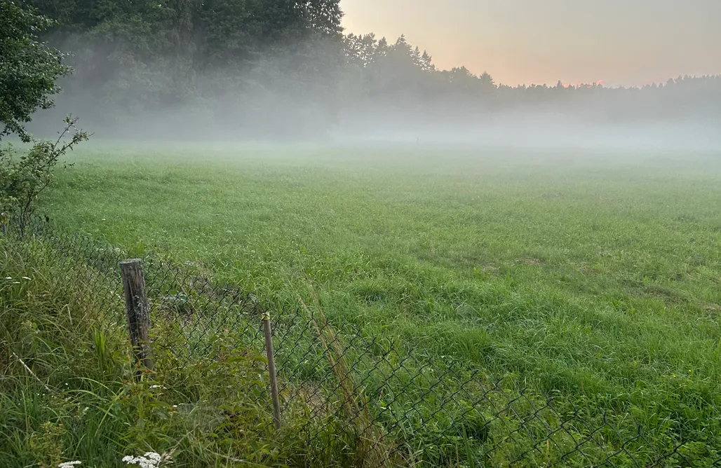 Agroturystyka ,,Zacisze-Guciów" AlohaCamp