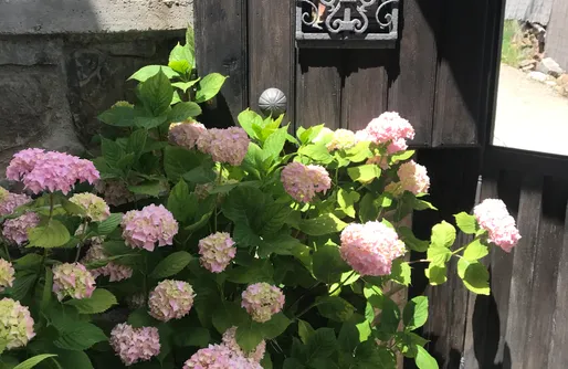 Imagen de El Edén de Cameros