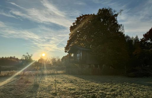 Zdjęcie obiektu Domek na drzewach