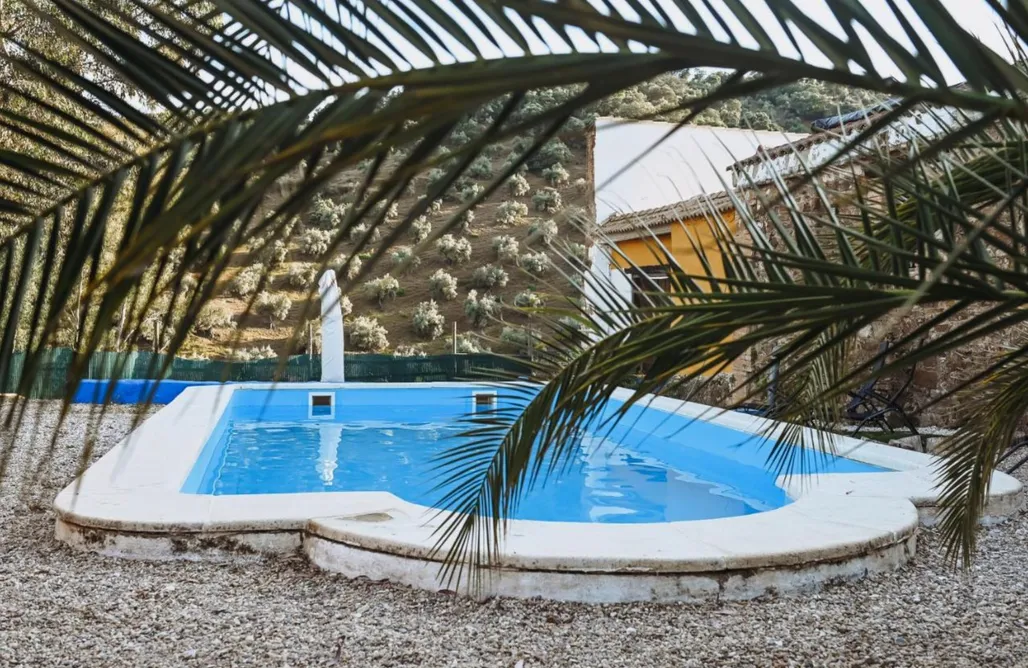 alojamientos AlohaCamp Alpaca Experience 1