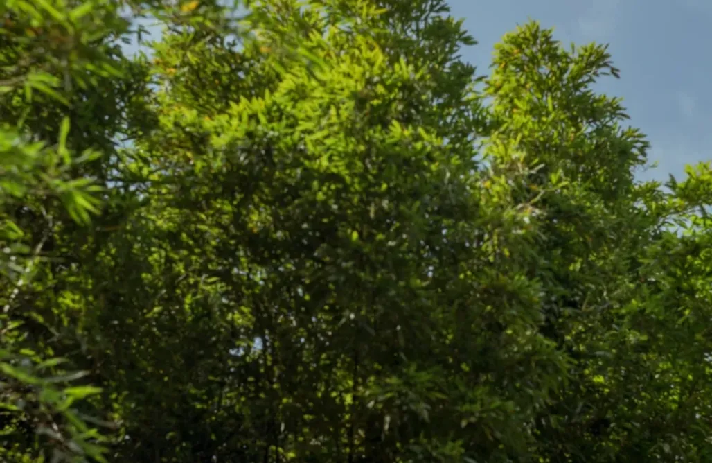 alojamientos AlohaCamp Casa Aire 1