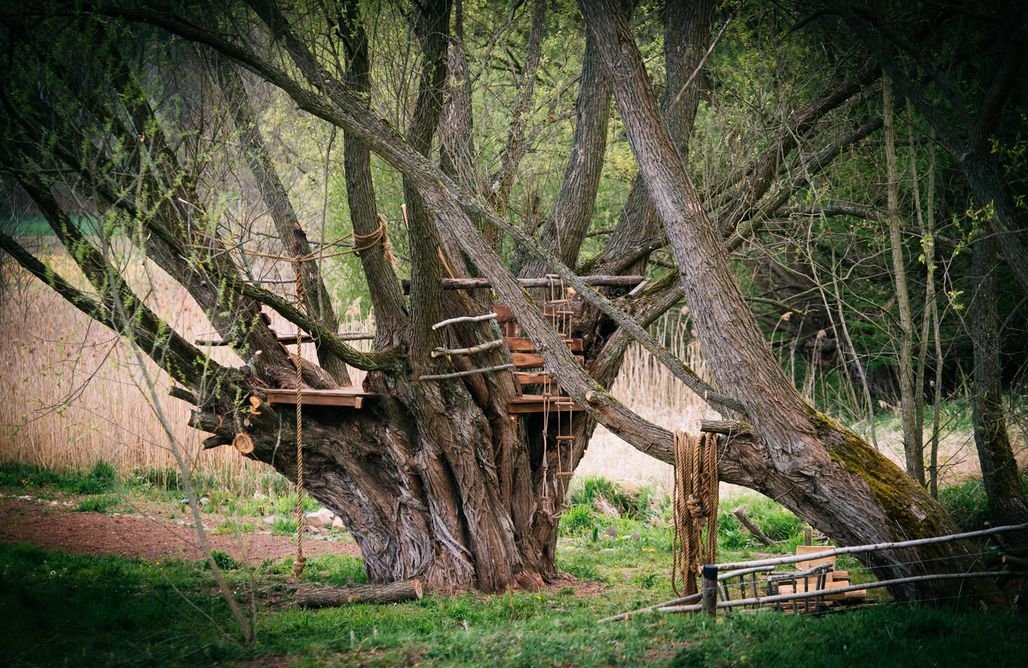 noclegi AlohaCamp Miejsce kamperowe - Kuźnia pod bobrem  4