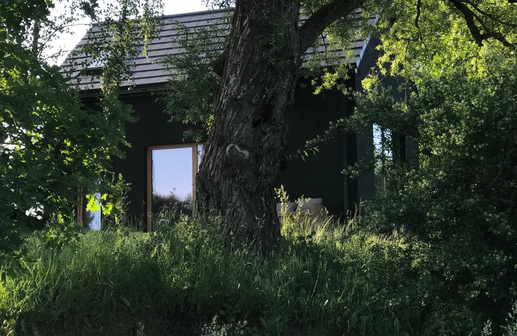 Tanie Noclegi Olsztyn Taras i las 3