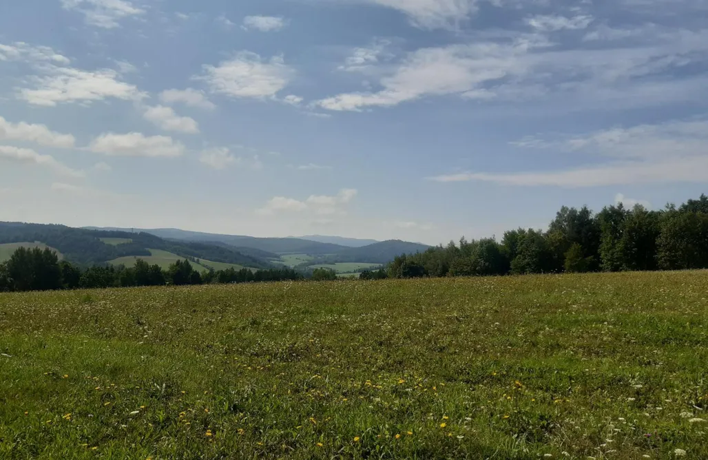 noclegi AlohaCamp Domek na Pętli 4