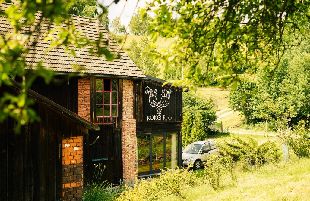 Wałbrzych noclegi z wyżywieniem Koko Ryku 2