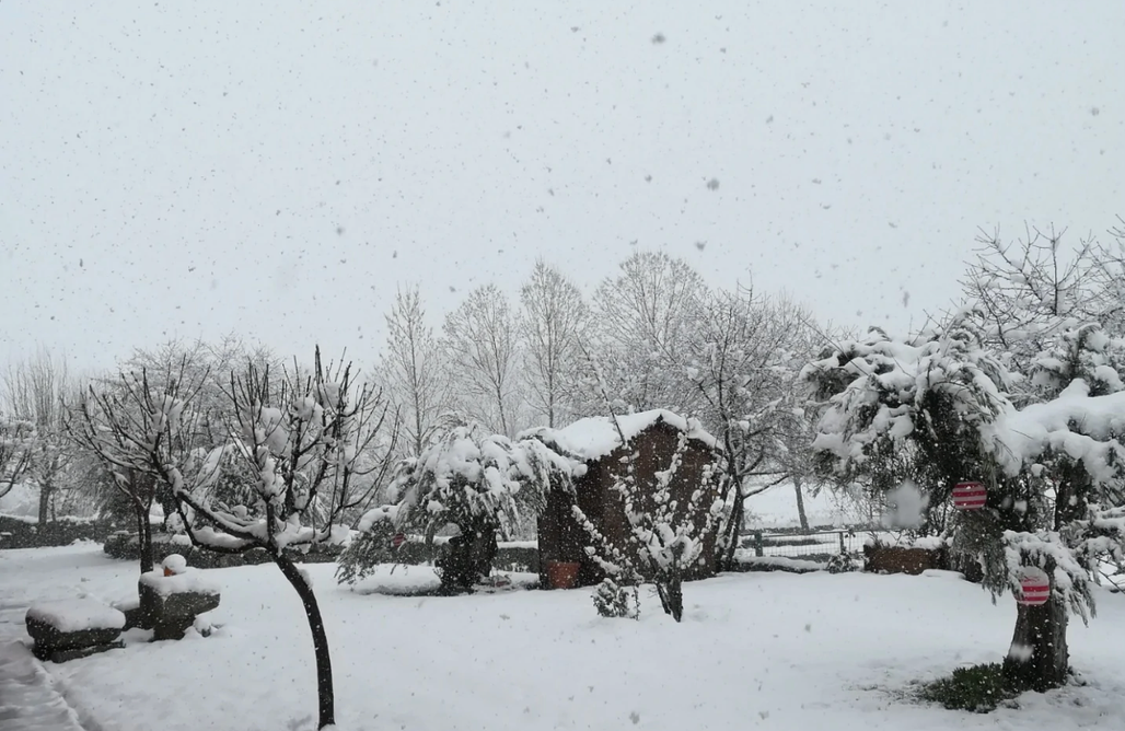 AlohaCamp Mirador el Gato II 1