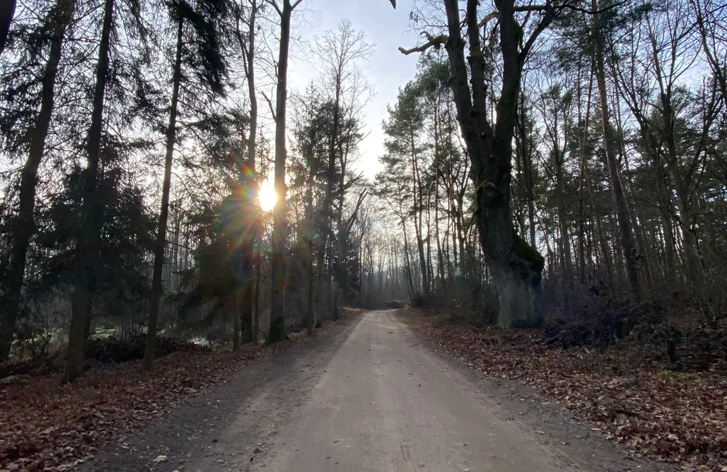 AlohaCamp Domek Samosiejka 1