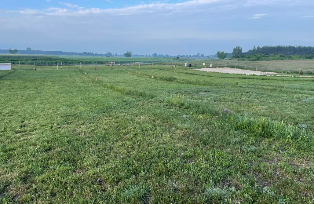 Camping Poland Miejsce namiotowe - Weź Wyjdź Podlaskie 1
