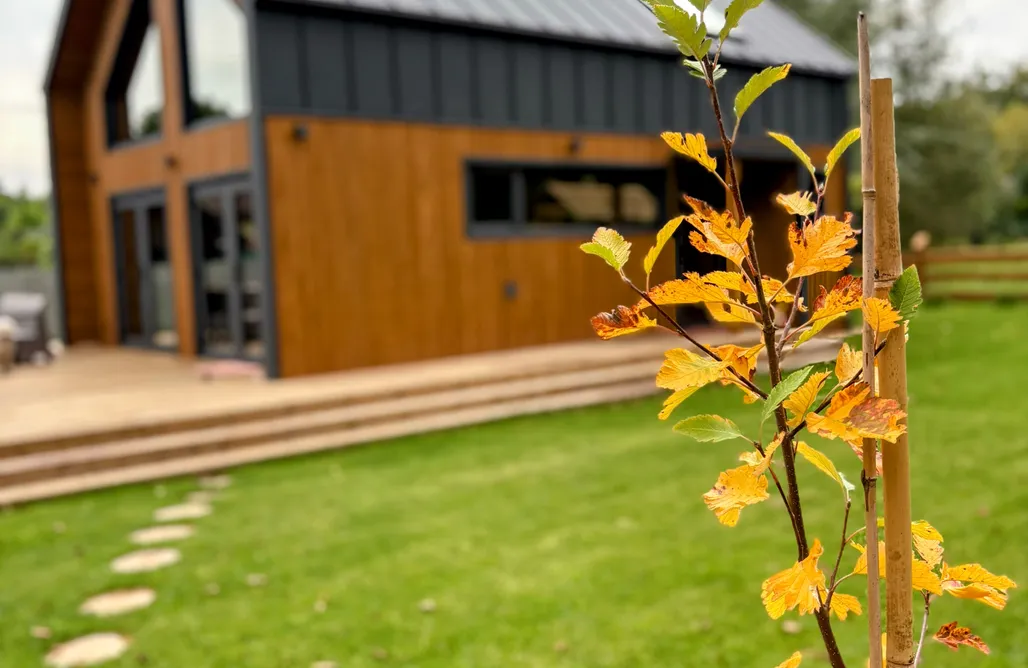 noclegi AlohaCamp Jurajskie Ranczo 5