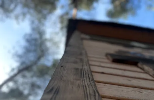 Zdjęcie obiektu Leśna Przystań 