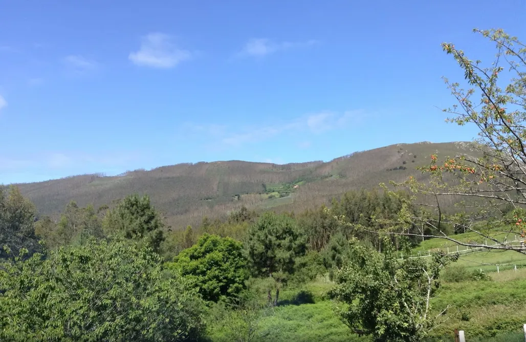Cabañas en O Vicedo Casa Da Fonte 3