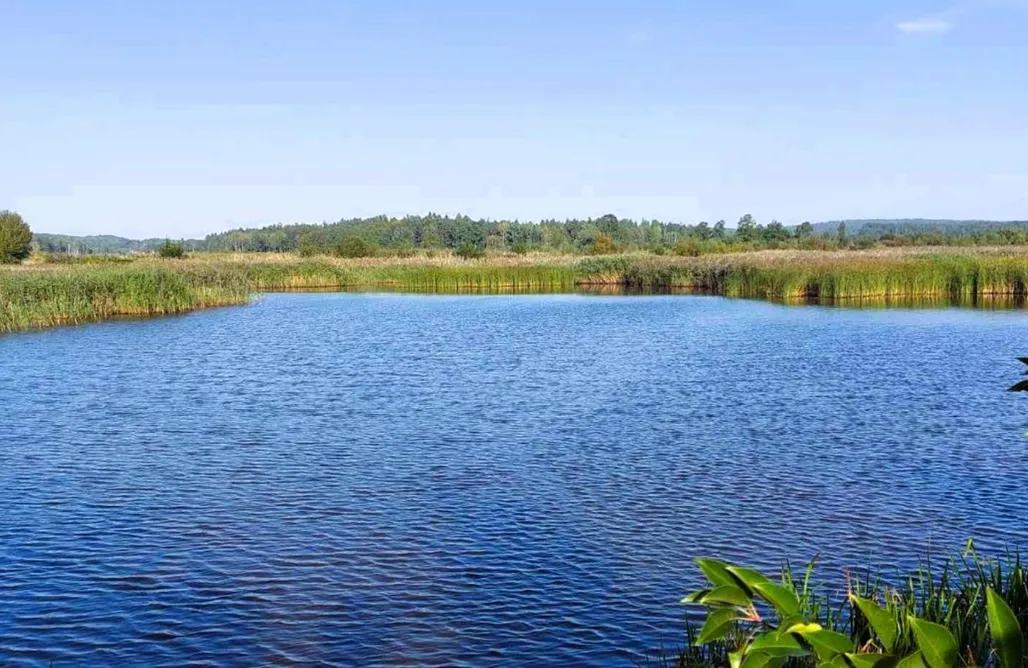 AlohaCamp accommodation Maja Pokoje z Widokiem 5