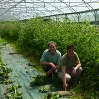 Le Gîte des Coccinelles Gastgebe Le Gîte des Coccinelles