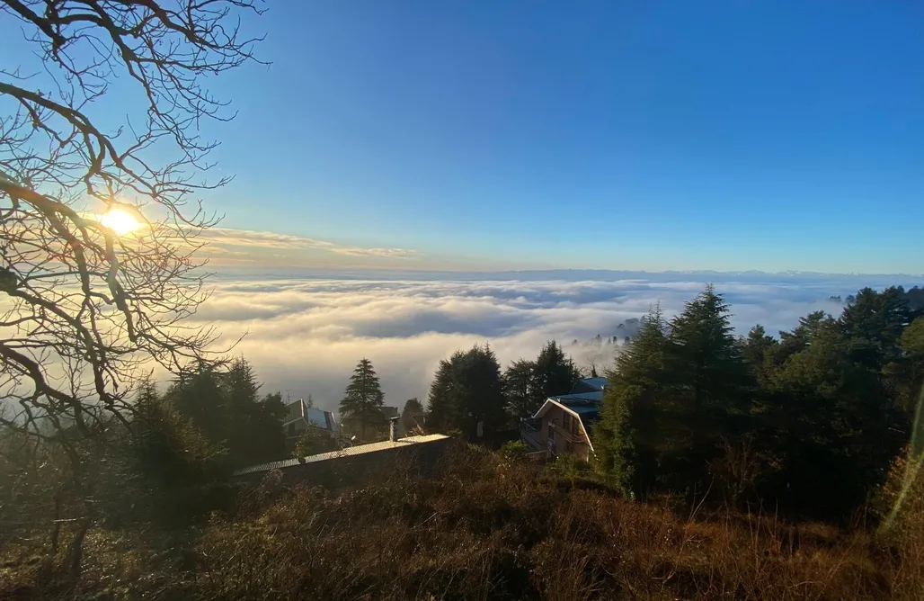 Torre di Montosolo AlohaCamp