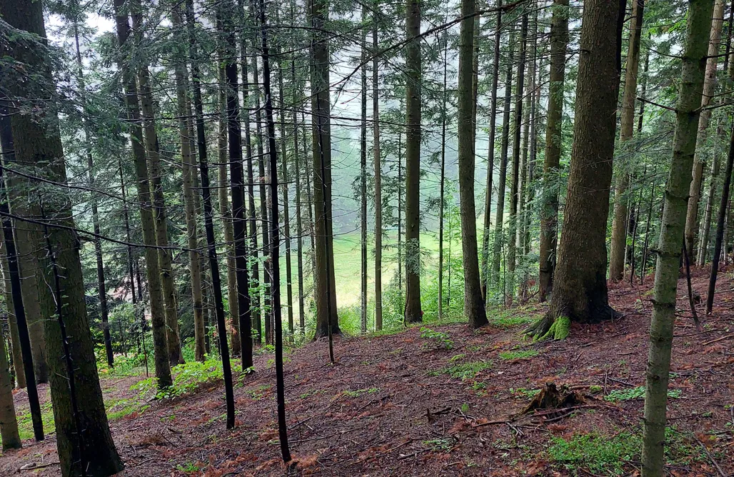 Jezioro Rożnowskie Noclegi Jaśkulówka pod Wyską 1