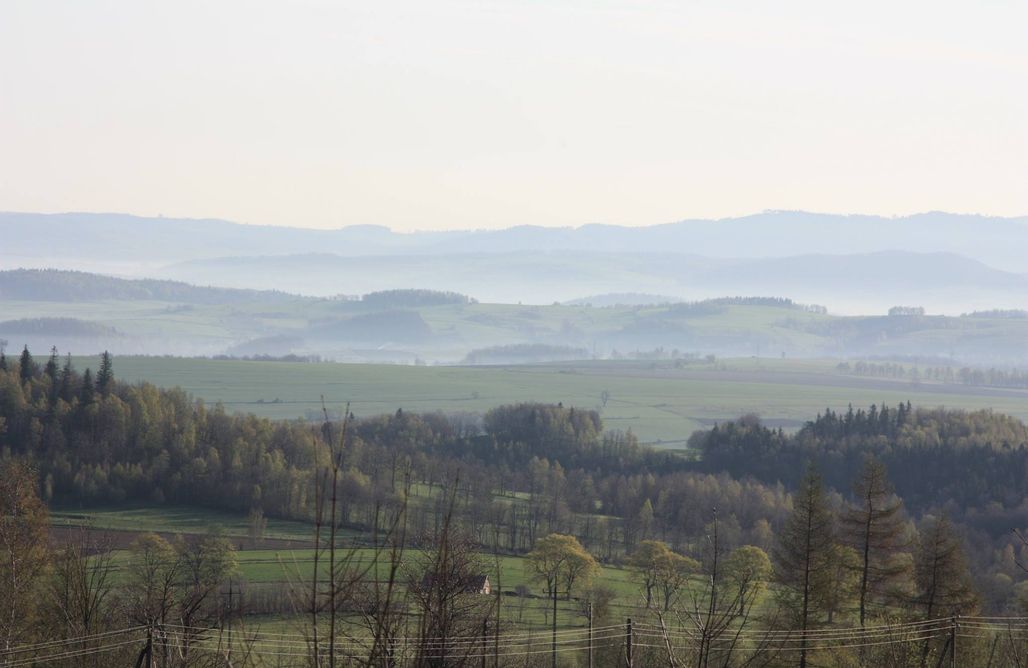 noclegi AlohaCamp Miejsce kamperowe - Słodka Gruszka 4