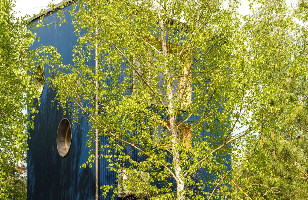 AlohaCamp Bird Lodge (Blue Lakehouse) 1