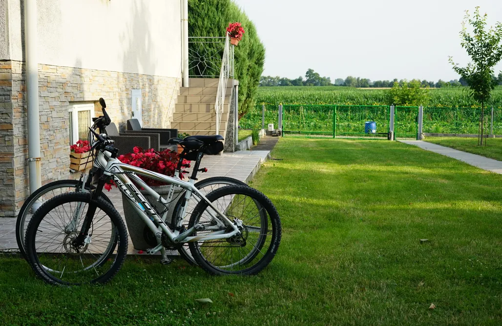 AlohaCamp AgroKrówka 1