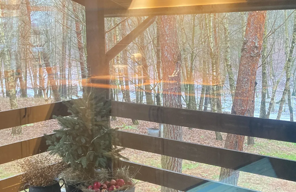 Alloggi AlohaCamp Flying Moose/Latający Łoś 1