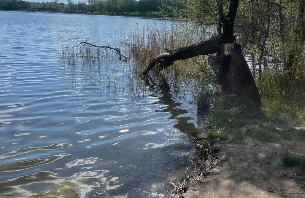 alojamientos AlohaCamp Siedlisko Mokra - Leśniczówka pod Jaworem 5