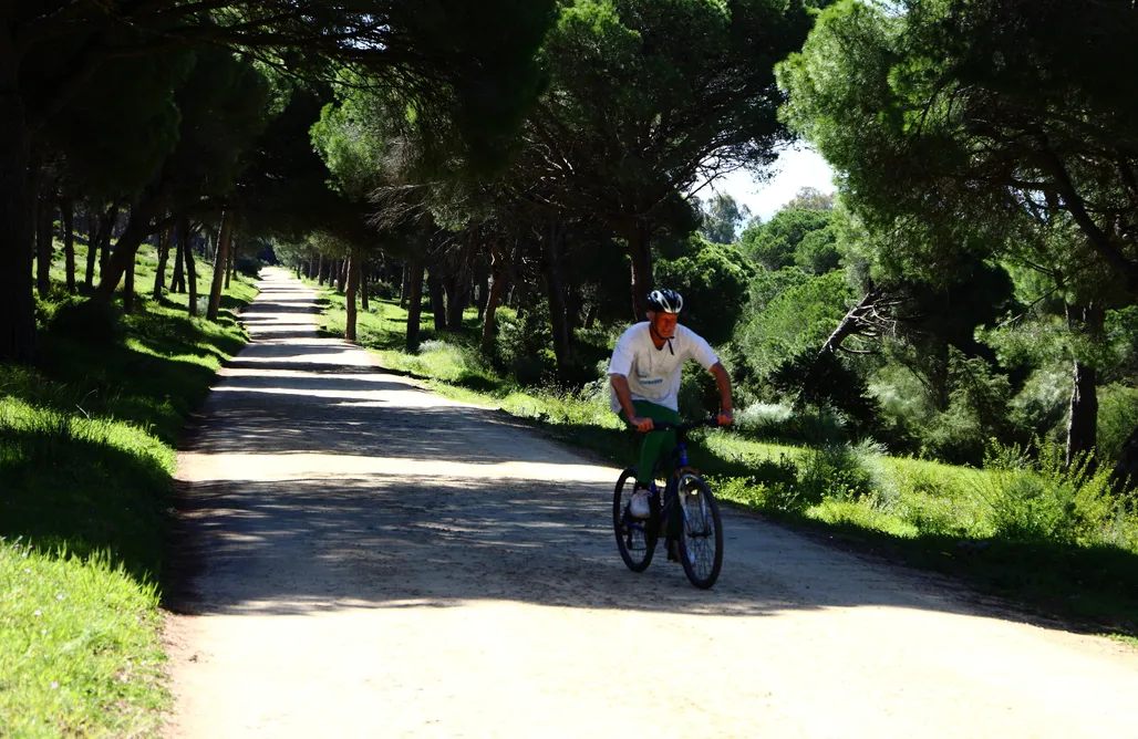 Alloggi AlohaCamp La Quinta de Maria Luisa 1